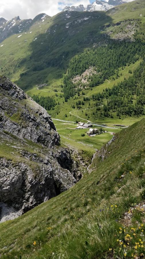 Hotel Fex Sils Maria Exteriér fotografie